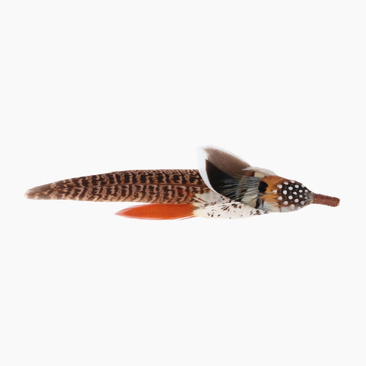 Covey – Curated Hat Feather Gift Box - Ruediger Hats