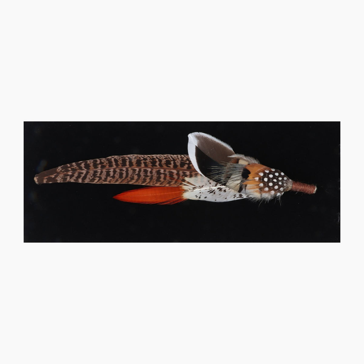 Covey – Curated Hat Feather Gift Box - Ruediger Hats